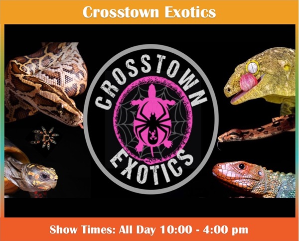 Crosstown Exotics