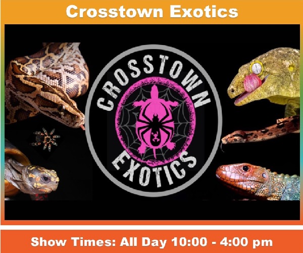 Crosstown Exotics