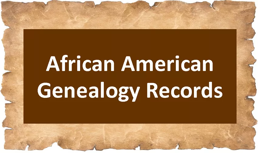 genealogy_african_american.png