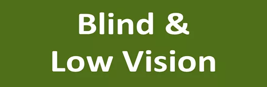 blind_low_vision.png