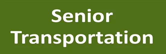 senior_transportation.png