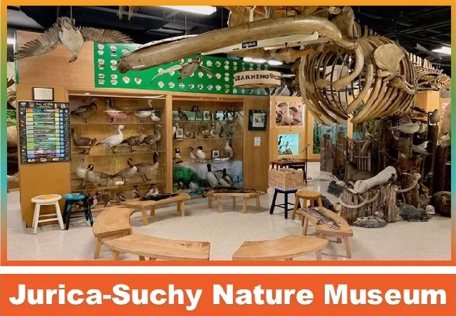 jurica suchy nature museum